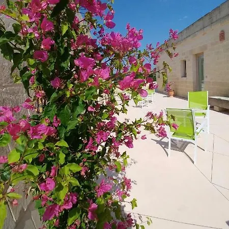 مزرعة للإقامة La Trottoria